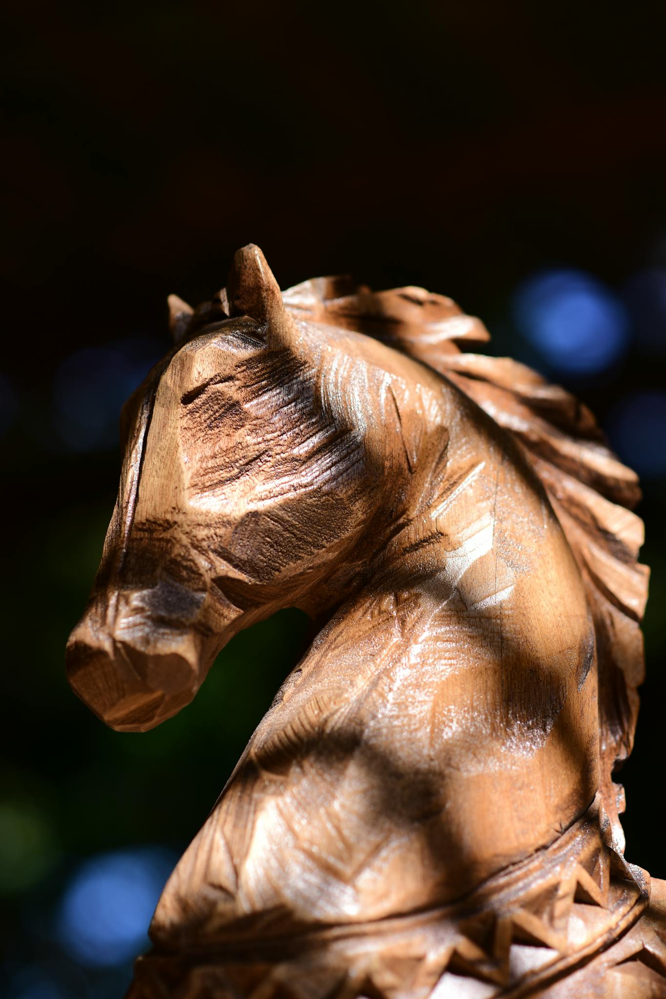 Close-up of a detailed wooden horse carving with sunlight and shadows highlighting the texture.